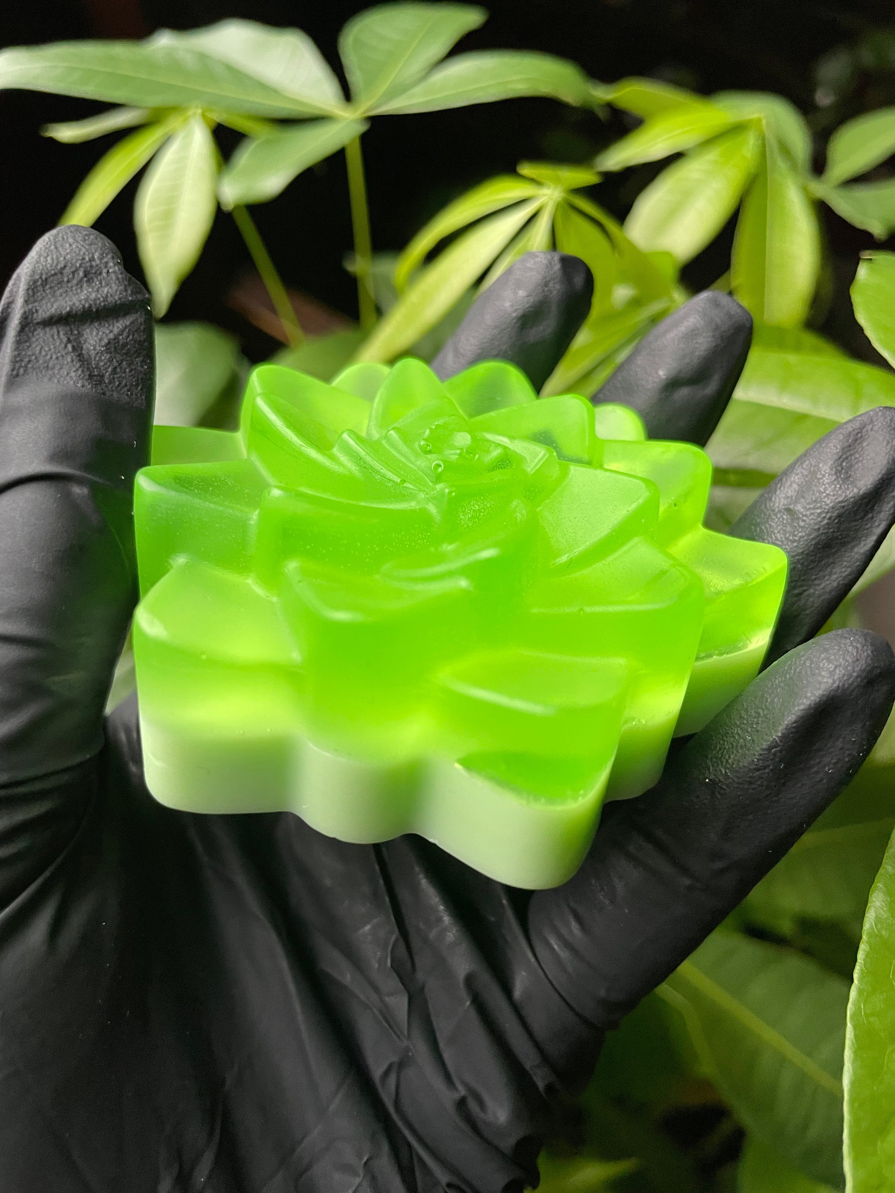 Aloe Shampoo Bar